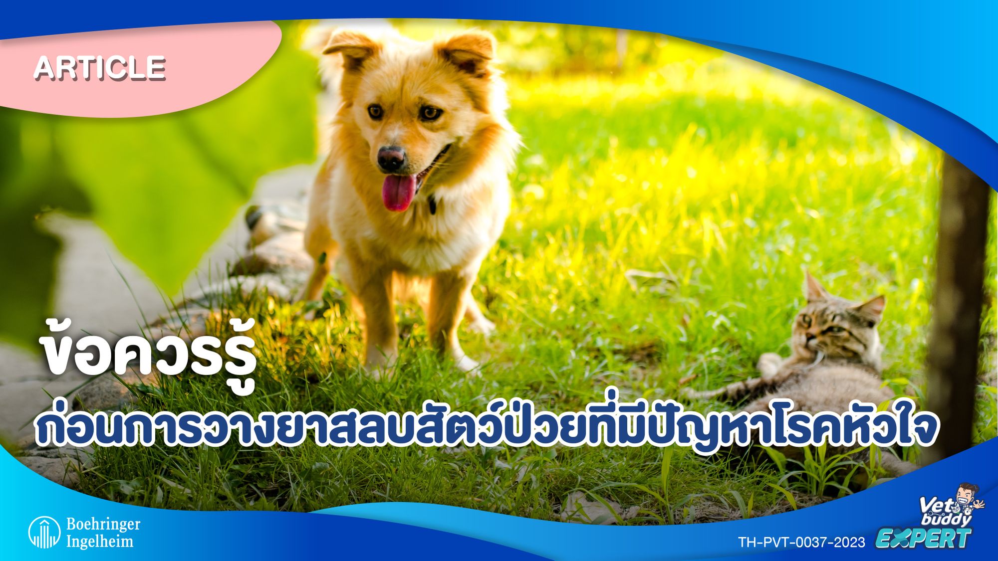 ข้อควรรู้ก่อนการวางยาสลบสัตว์ป่วยที่มีปัญหาโรคหัวใจ