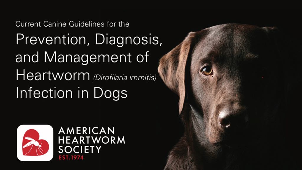 2018 AHS Canine Guidelines