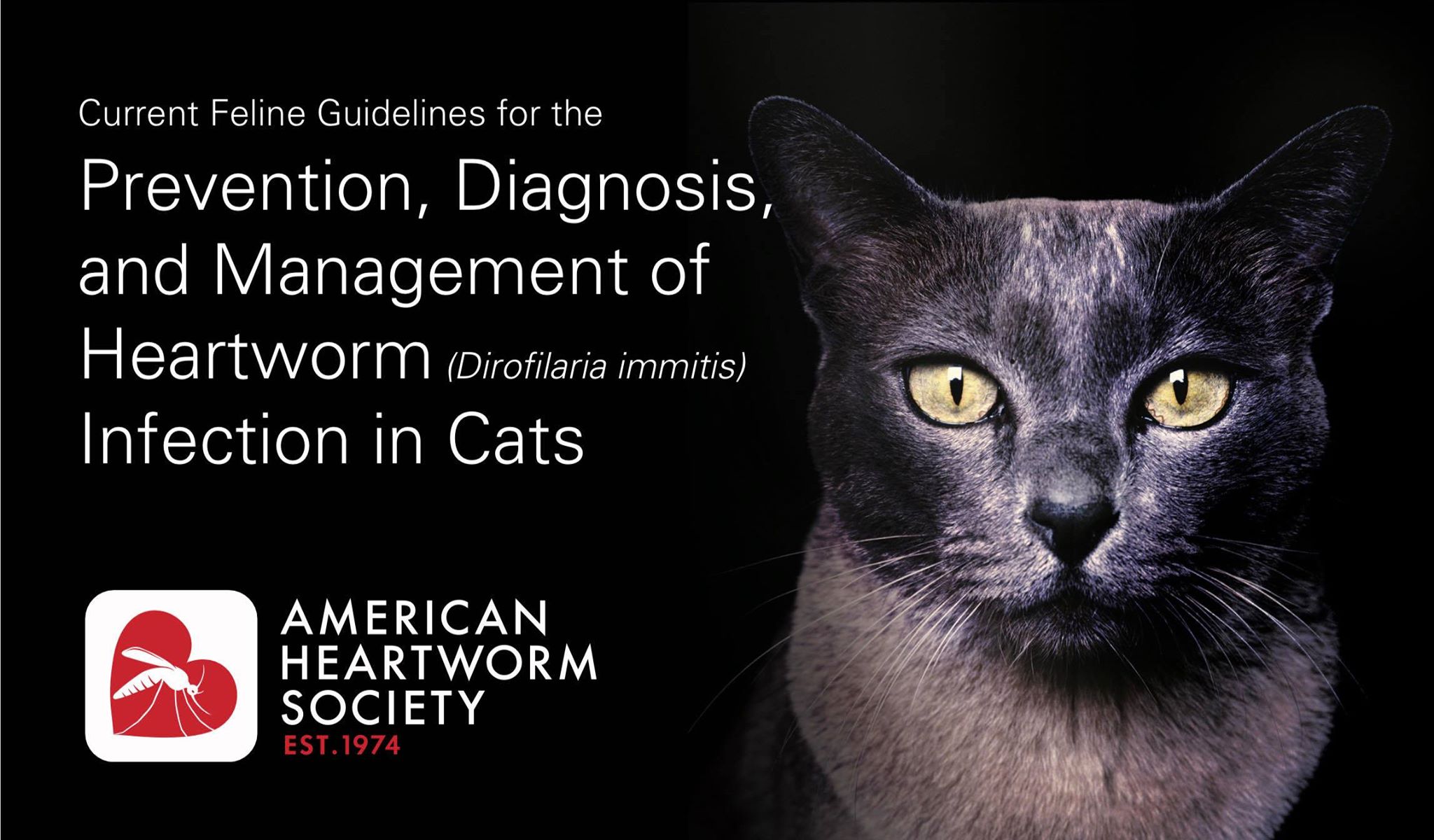 2014 AHS Feline Guidelines