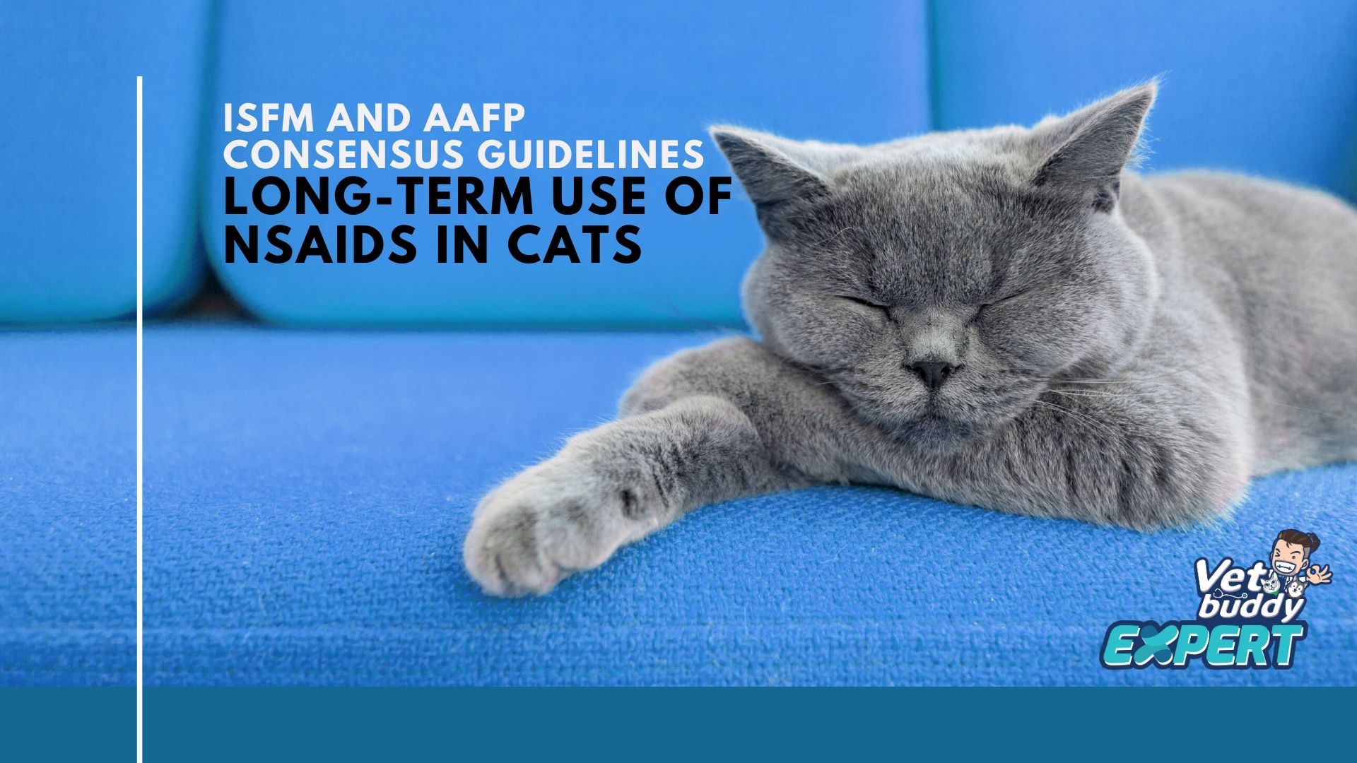 ISFM AND AAFP CONSENSUS GUIDELINES Long-term use of NSAIDs in cats