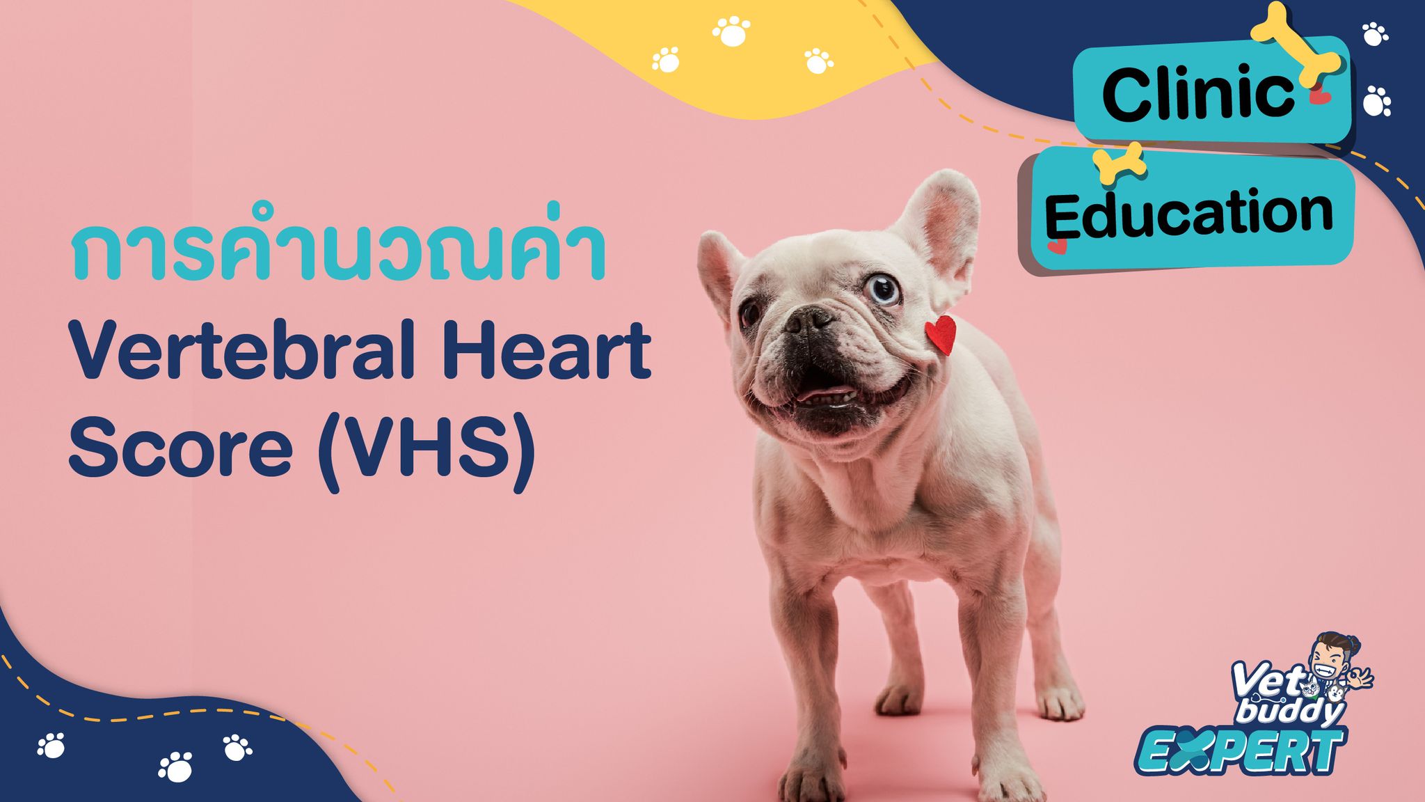 Vertebral Heart Score(VHS)