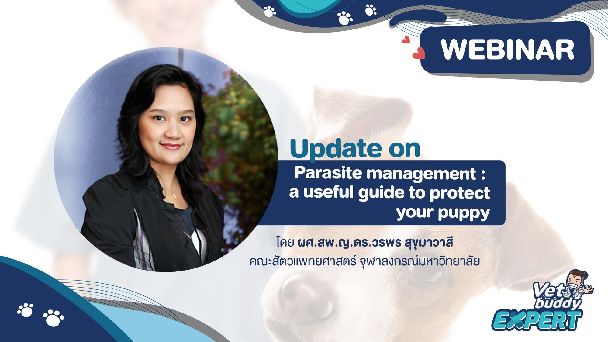 Update on parasite management : a useful guide to protect your puppy