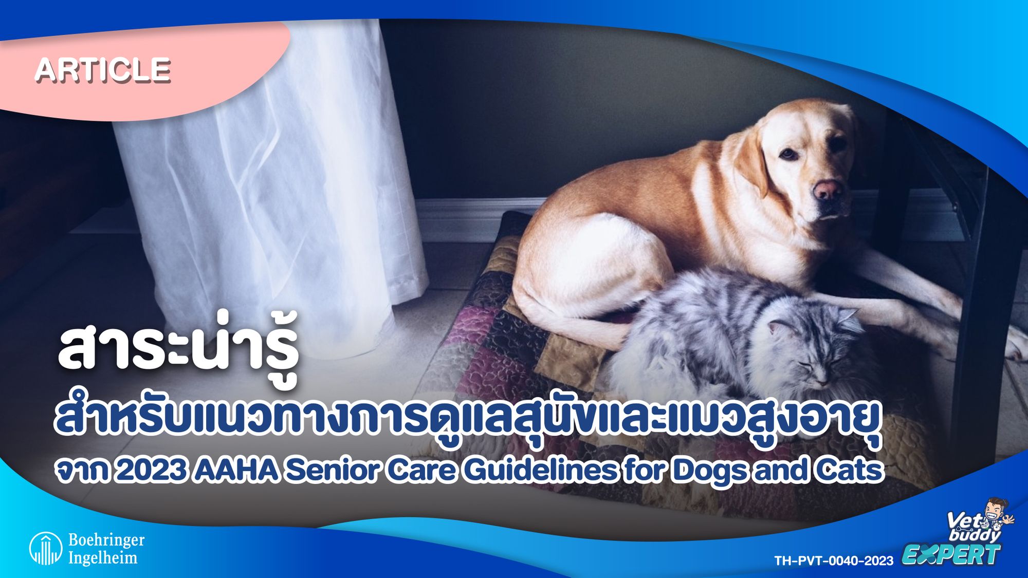 สาระน่ารู้สำหรับแนวทางการดูแลสุนัขและแมวสูงอายุจาก 2023 AAHA Senior Care Guidelines for Dogs and Cats