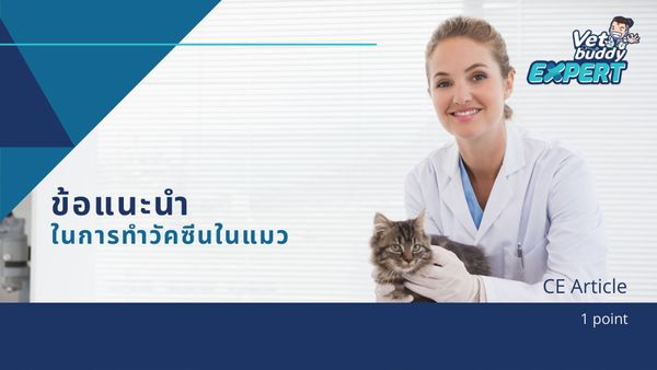 ข้อแนะนำในการทำวัคซีนในแมว