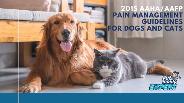 2015 AAHA/AAFP Pain Management Guidelines for Dogs and Cats