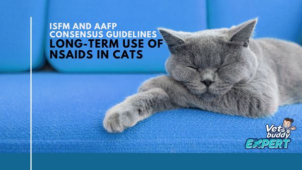 ISFM AND AAFP CONSENSUS GUIDELINES Long-term use of NSAIDs in cats
