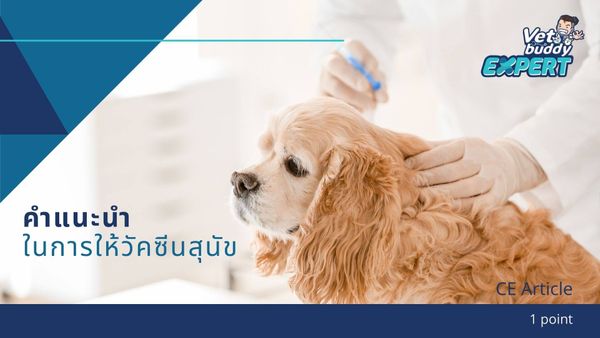 คำแนะนำการให้วัคซีนในสุนัข