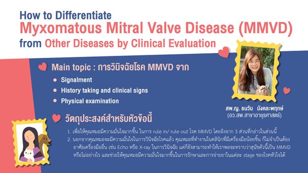 How to Differentiate Myxomatous Mitral Valve Disease (MMVD) from Other Diseases by Clinical Evaluation