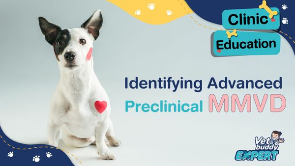 identifying advanced preclinical MMVD