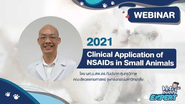 Clinical Application of NSAIDs in Small Animals