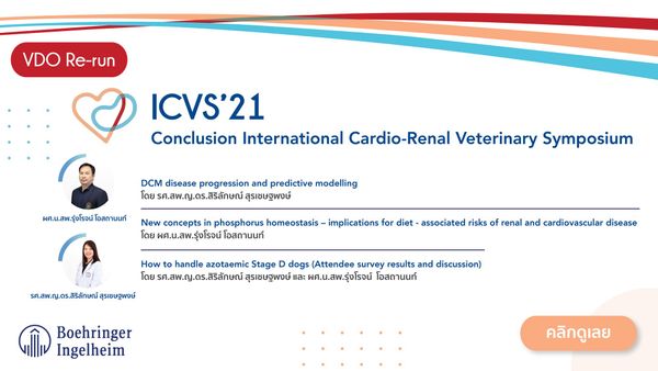Conclusion International Cardio-Renal Veterinary Symposium (ICVS’21) สรุปการประชุมวิชาการสัตวแพทย์ โรคหัวใจ และโรคไตนานาชาติ