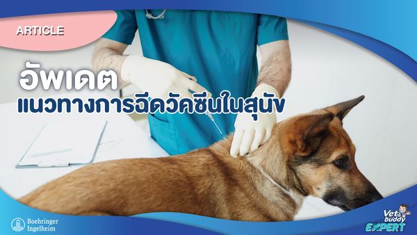 อัพเดตแนวทางการฉีดวัคซีนในสุนัข