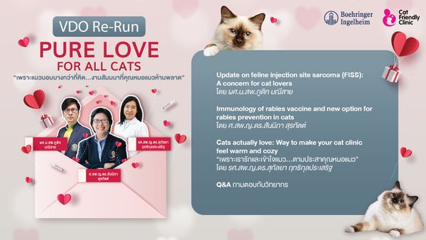 หัวข้อ VDO Re-Run PURE LOVE FOR ALL CATS