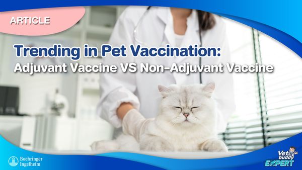 Trending in Pet Vaccination: Adjuvant Vaccine VS Non-Adjuvant Vaccine