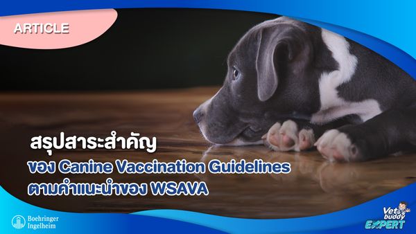 สรุปสาระสำคัญของ Canine Vaccination Guidelines ตามคำแนะนำของ WSAVA