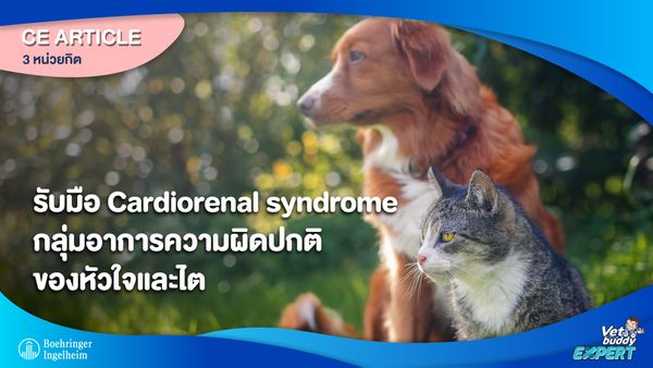 รับมือ Cardiorenal syndrome กลุ่มอาการความผิดปกติของหัวใจและไต